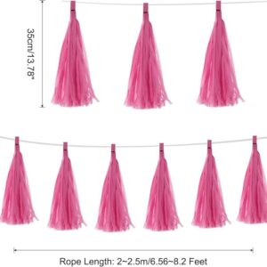 Hot Pink Tissue Paper Tassel