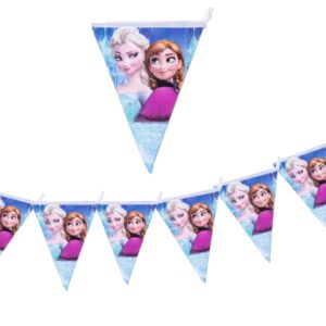 frozen Paper Flags Banner