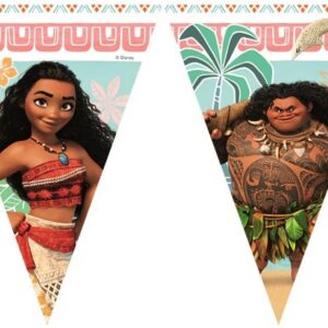 Moana Original Disney Plastic Flag Banner 3m