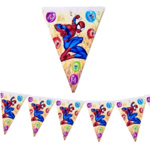 Spider Man Paper Flags Banner