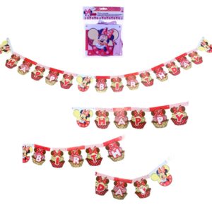 Original Disney Minnie Mouse Cartoon Banner HBD