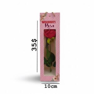 Flower in a gift box