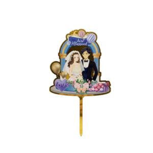 Plexi Just Married Cake Topper