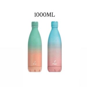 Gradient Flair Insulated Steel Bottle 1L