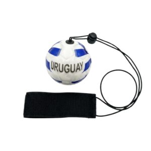 World Cup Ball(Uruguay)