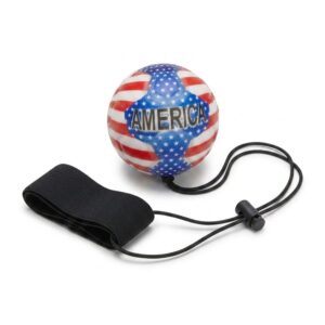 World Cup Ball(America)