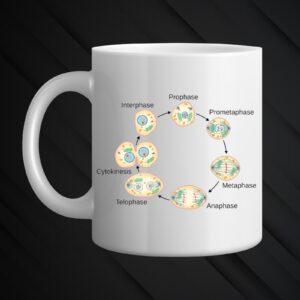 Teacher's mug