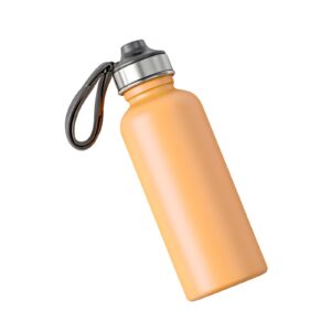 Stainless Steel Bottles
