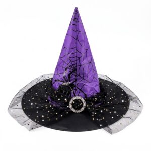 Purple Witch Hat