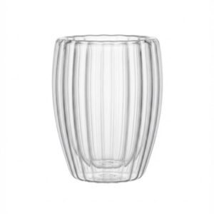 Double Layered Glass Mug