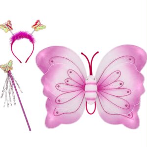 Pink Butterfly Costume Set